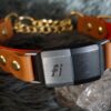 Fi Compatible 1" Rua Martingale Collar - Image 3