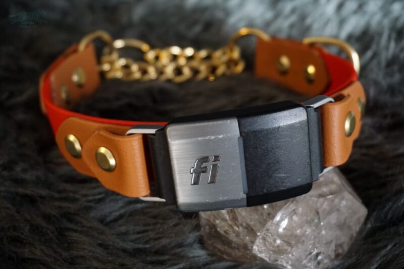 Fi Compatible 1" Rua Martingale Collar - Image 3