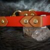 Fi Compatible 1" Rua Martingale Collar - Image 7
