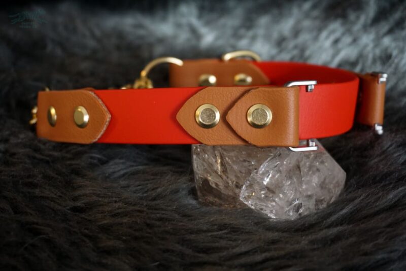 Fi Compatible 1" Rua Martingale Collar - Image 7