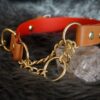 Fi Compatible 1" Rua Martingale Collar - Image 10