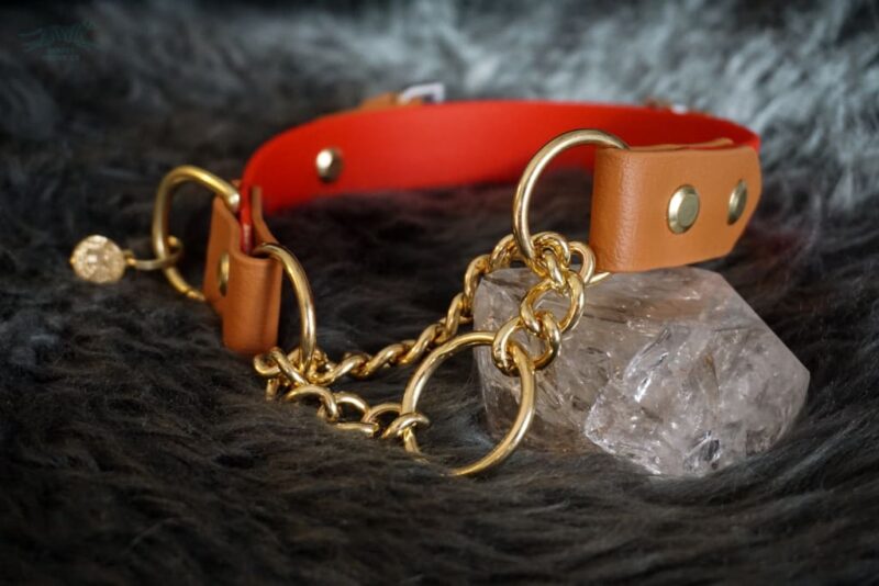 Fi Compatible 1" Rua Martingale Collar - Image 10
