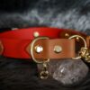 Fi Compatible 1" Rua Martingale Collar - Image 9