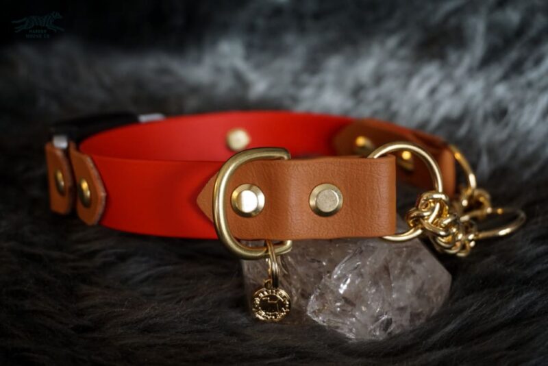 Fi Compatible 1" Rua Martingale Collar - Image 9