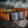 Fi Compatible 1" Rua Martingale Collar - Image 8