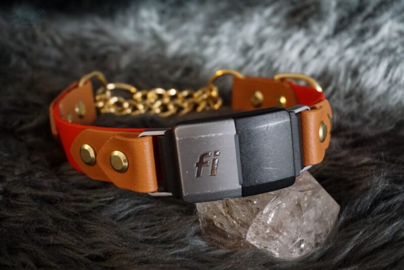 Fi Compatible 1" Rua Martingale Collar - Image 8