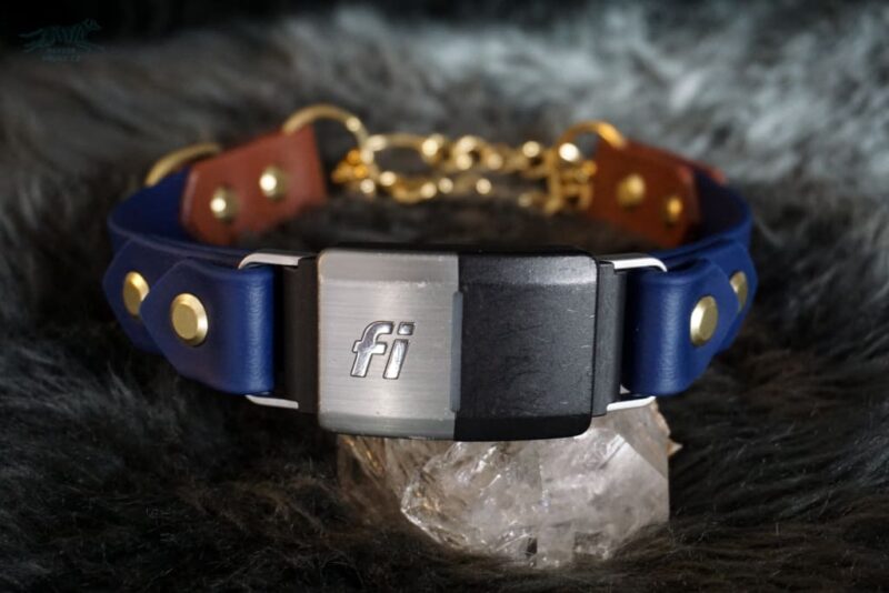 Fi Compatible 1" Rua Martingale Collar - Image 14