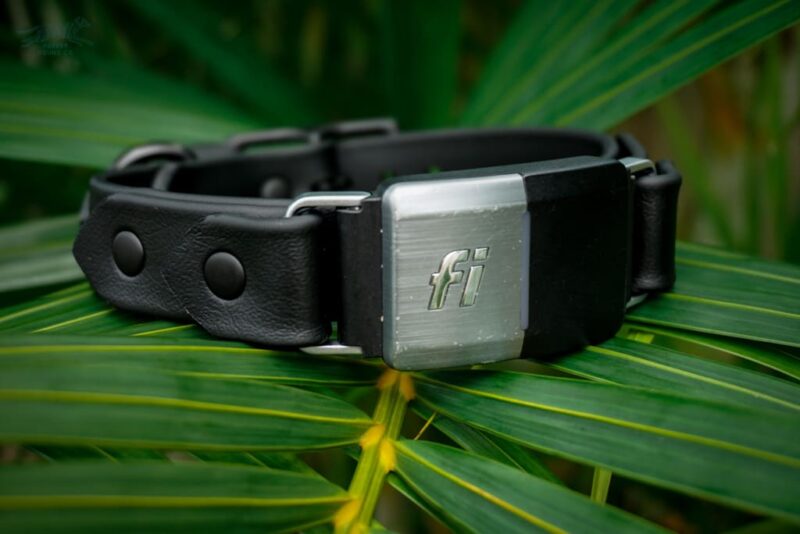 Fi Compatible 1" Waterproof Buckle Collar - Image 10