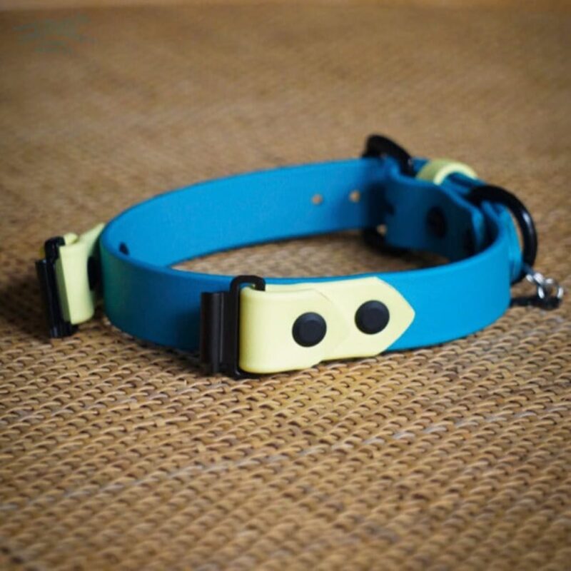 Fi Compatible 1" Waterproof Buckle Collar - Image 2