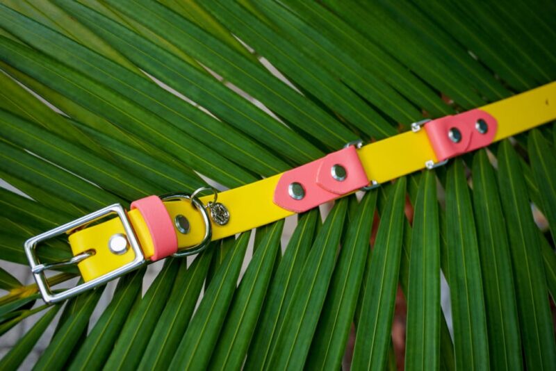 Fi Compatible 1" Waterproof Buckle Collar - Image 8