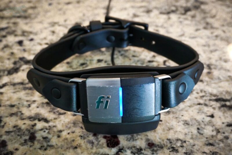 Fi Compatible 1" Waterproof Buckle Collar - Image 4