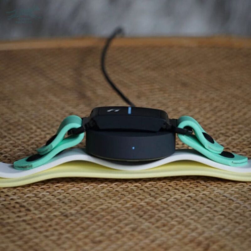 Fi Compatible 1" Waterproof Buckle Collar - Image 5