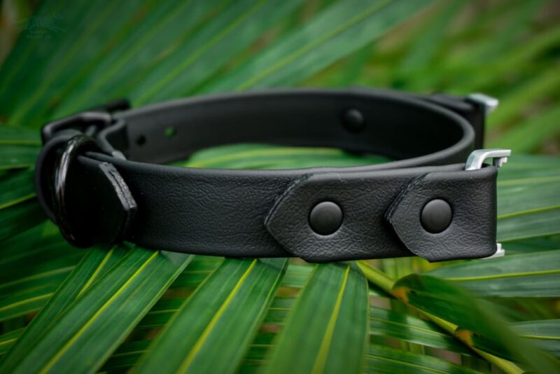 Fi Compatible 1" Waterproof Buckle Collar - Image 12