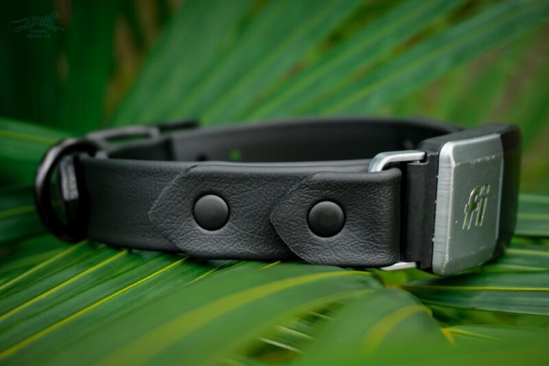 Fi Compatible 1" Waterproof Buckle Collar - Image 11