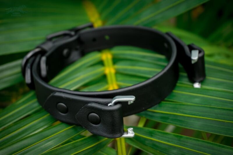 Fi Compatible 1" Waterproof Buckle Collar - Image 13