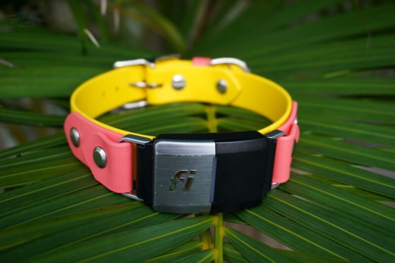 Fi Compatible 1" Waterproof Buckle Collar - Image 9