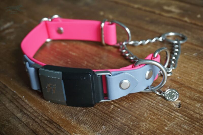 Fi Compatible 1" wide adjustable Martingale Collar - Image 2