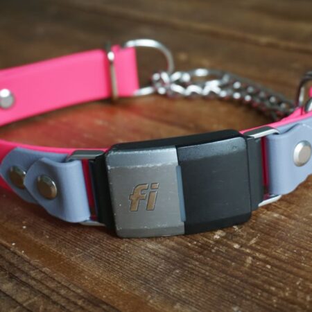Fi Compatible 1" wide adjustable Martingale Collar