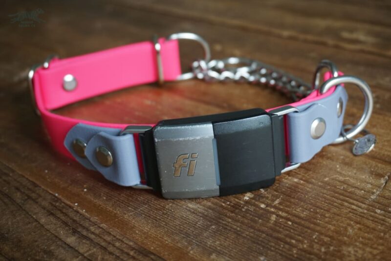 Fi Compatible 1" wide adjustable Martingale Collar