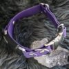 Fi Compatible 1" wide Side-Release Buckle Collar