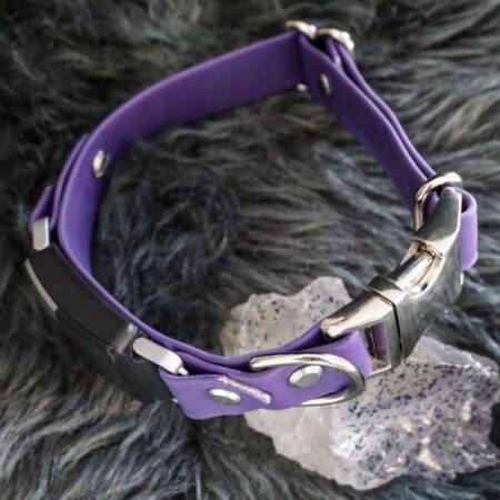 Fi Compatible 1" wide Side-Release Buckle Collar