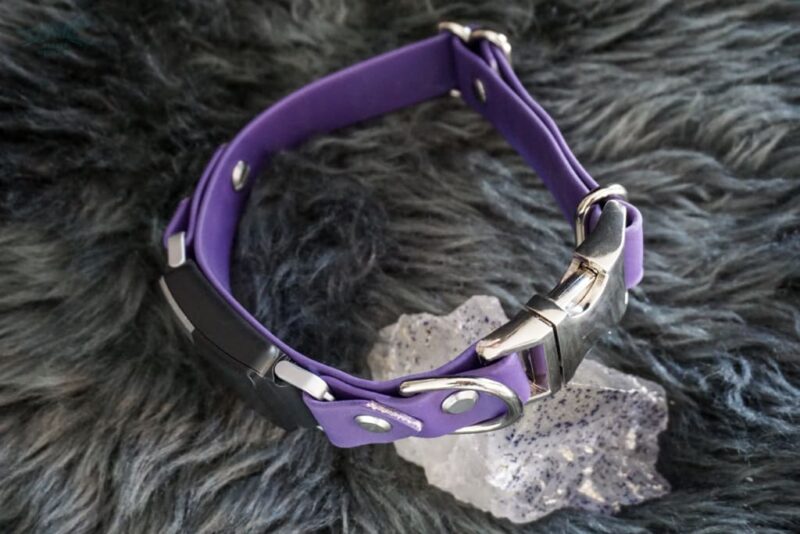 Fi Compatible 1" wide Side-Release Buckle Collar