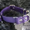 Fi Compatible 1" wide Side-Release Buckle Collar - Image 4