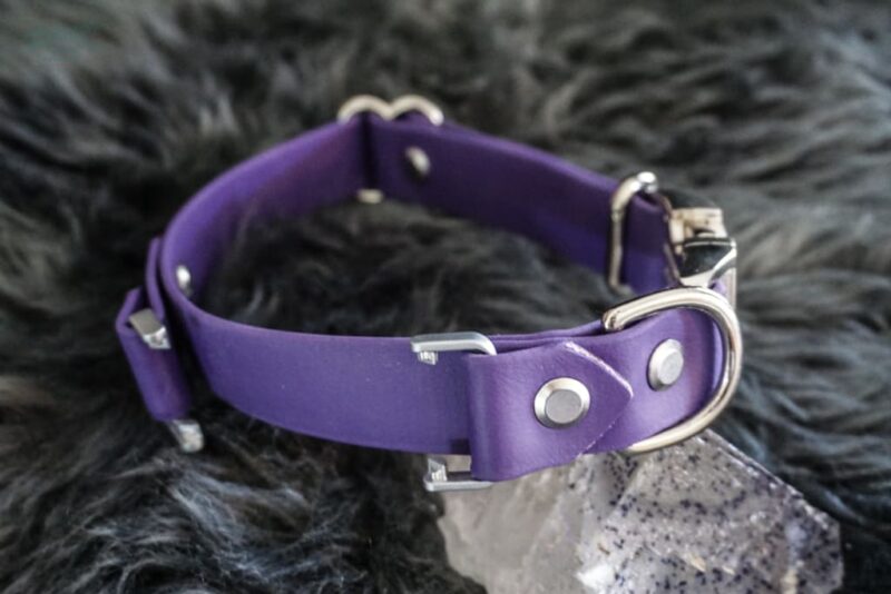 Fi Compatible 1" wide Side-Release Buckle Collar - Image 4
