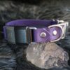 Fi Compatible 1" wide Side-Release Buckle Collar - Image 2