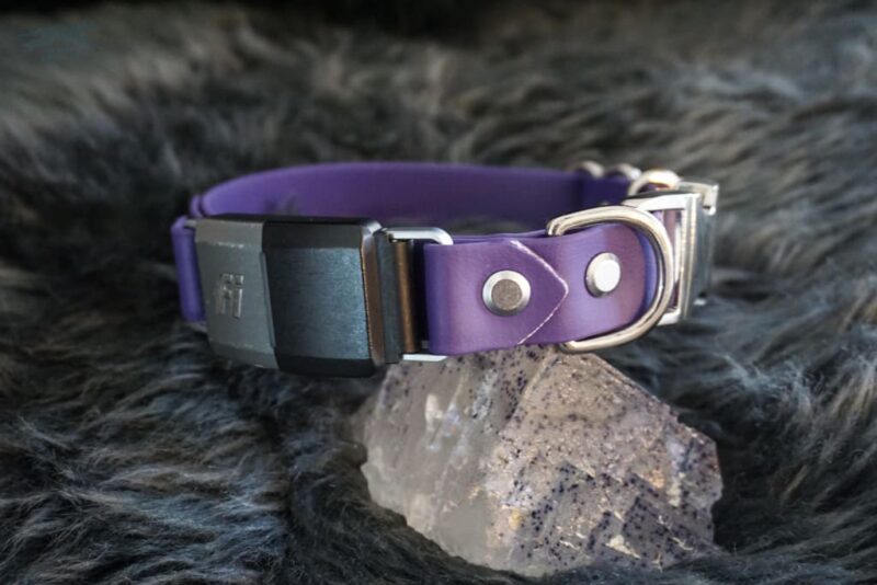 Fi Compatible 1" wide Side-Release Buckle Collar - Image 2