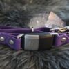 Fi Compatible 1" wide Side-Release Buckle Collar - Image 3