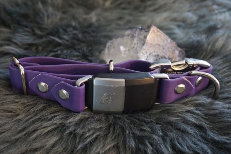 Fi Compatible 1" wide Side-Release Buckle Collar - Image 3