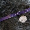 Fi Compatible 1" wide Side-Release Buckle Collar - Image 5