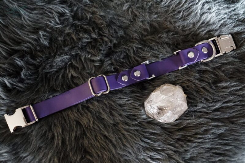 Fi Compatible 1" wide Side-Release Buckle Collar - Image 5