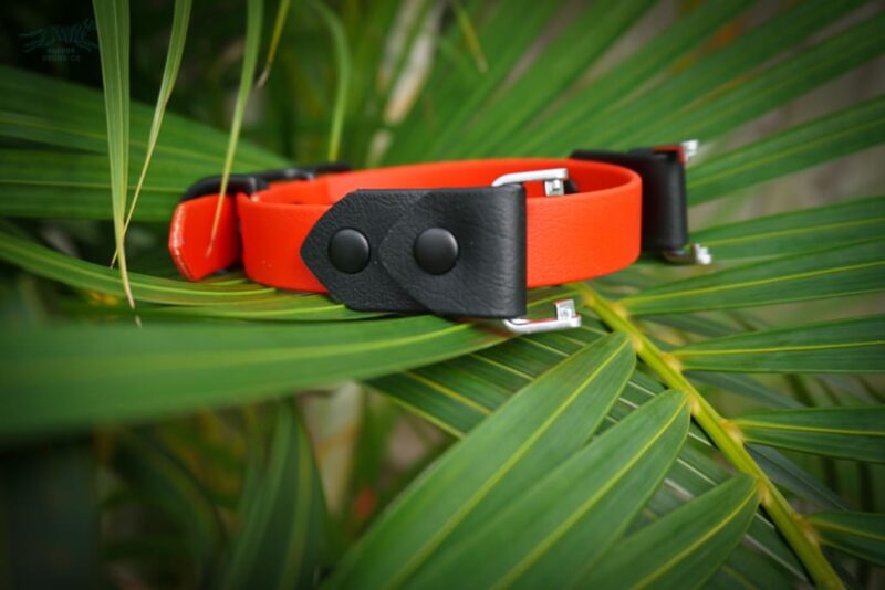 Fi Compatible 3/4" Waterproof Buckle Collar - Image 6