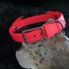 Fi Compatible 3/4" Waterproof Buckle Collar - Image 10