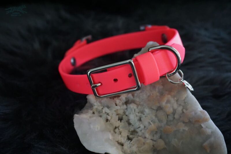 Fi Compatible 3/4" Waterproof Buckle Collar - Image 10
