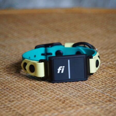 Fi Compatible 3/4" Waterproof Buckle Collar