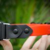 Fi Compatible 3/4" Waterproof Buckle Collar - Image 3