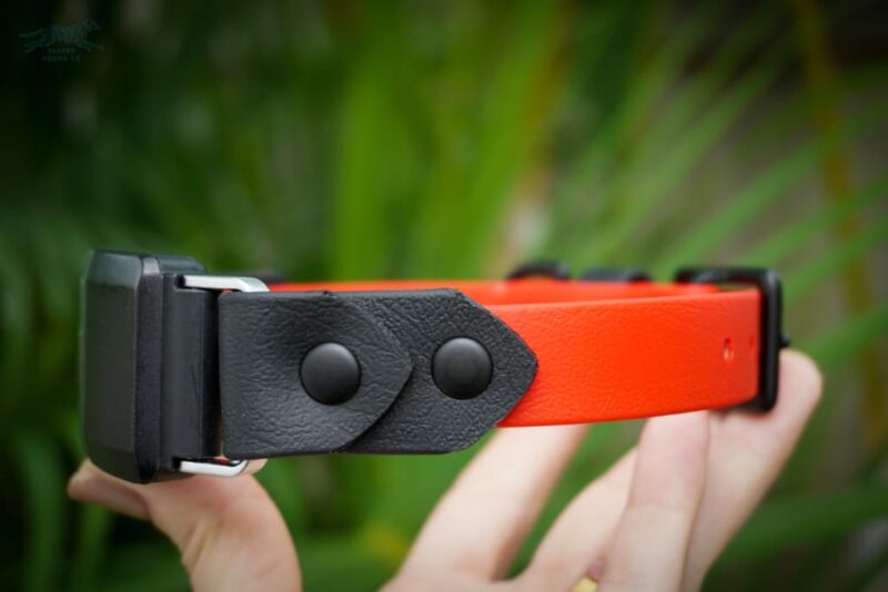 Fi Compatible 3/4" Waterproof Buckle Collar - Image 3