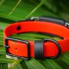 Fi Compatible 3/4" Waterproof Buckle Collar - Image 4