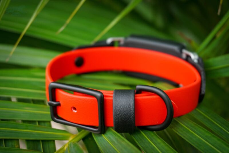 Fi Compatible 3/4" Waterproof Buckle Collar - Image 4