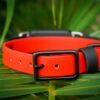 Fi Compatible 3/4" Waterproof Buckle Collar - Image 5