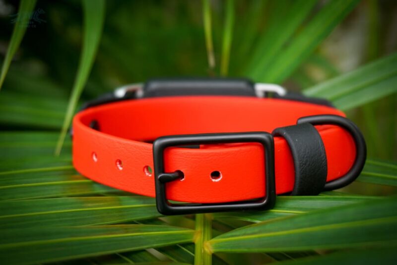 Fi Compatible 3/4" Waterproof Buckle Collar - Image 5