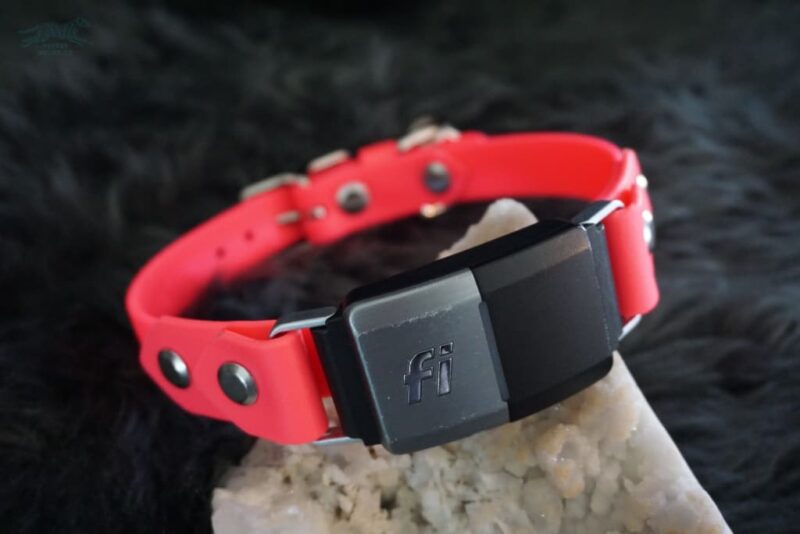 Fi Compatible 3/4" Waterproof Buckle Collar - Image 7