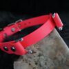 Fi Compatible 3/4" Waterproof Buckle Collar - Image 9