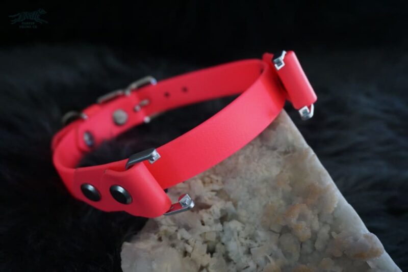 Fi Compatible 3/4" Waterproof Buckle Collar - Image 9
