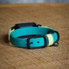Fi Compatible 3/4" Waterproof Buckle Collar - Image 12