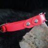 Fi Compatible 3/4" Waterproof Buckle Collar - Image 8