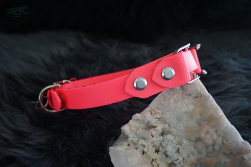Fi Compatible 3/4" Waterproof Buckle Collar - Image 8